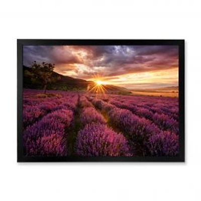 Sunrise & Dramatic Clouds Over Lavender Field IV Wall Art