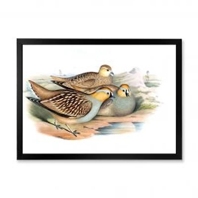 Vintage Birds in The Wild III Wall Art