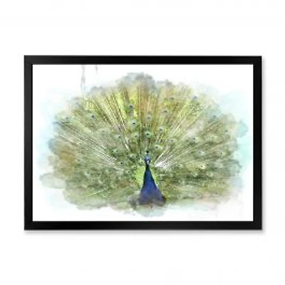Peacock Bird Wall Art