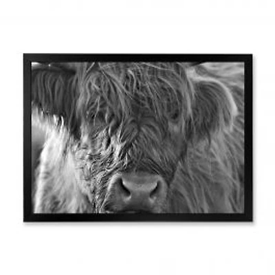 Scottish Highland Cows Living on Moorland Wall Art