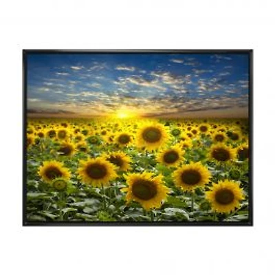 Field of Blooming SunFlowers Canvas Wall Art