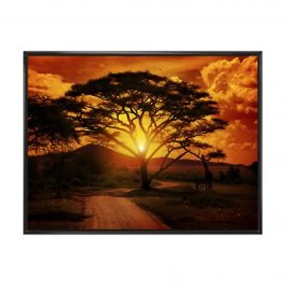 African Sunset with Lonely Tree Wall Art