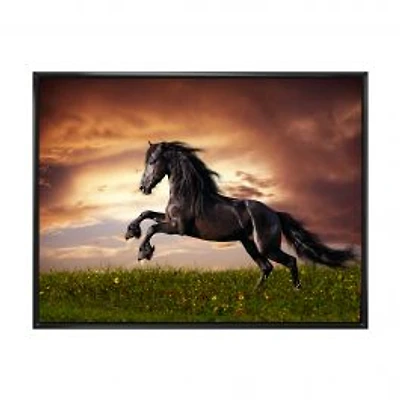 Black Friesian Horse Gallop Wall Art