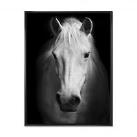 White Horse Black and White Wall Art