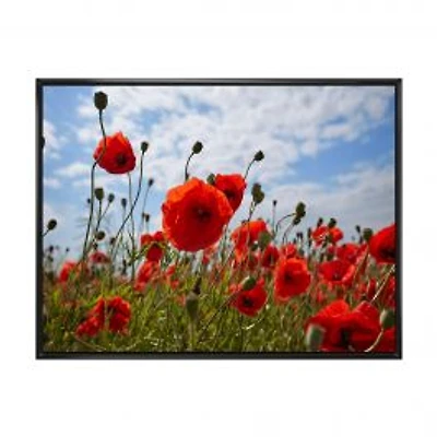 Bright Red Poppy Flowers Photo Artwork on Canvas