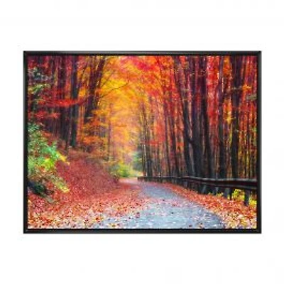 Road in Beautiful Autumn Forest Canvas Art