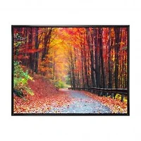 Road in Beautiful Autumn Forest Canvas Art