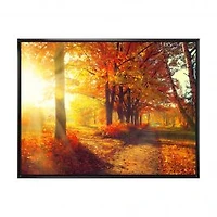 Autumnal Trees in Sunrays Wall Art