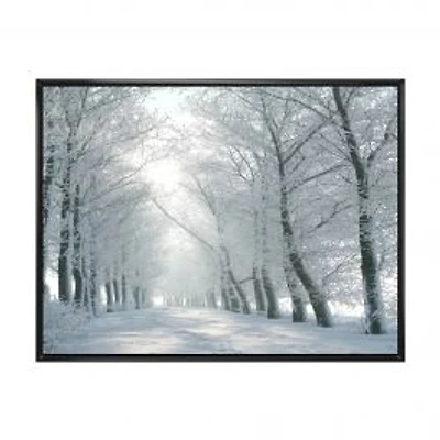 Winter Road Backlit my Morning Sun Wall Art