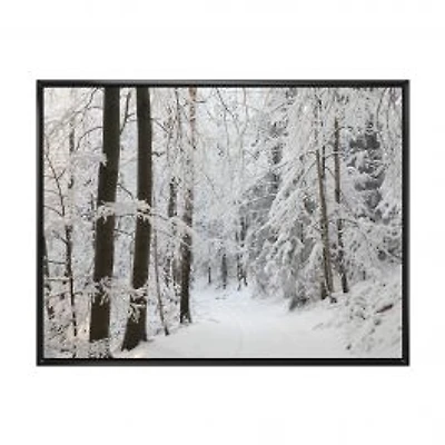 Dense Winter Forest and Lane Wall Art