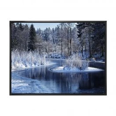 Winter Lake in Deep Forest Wall Art