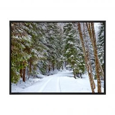 Snowy Road in the Forest Wall Art