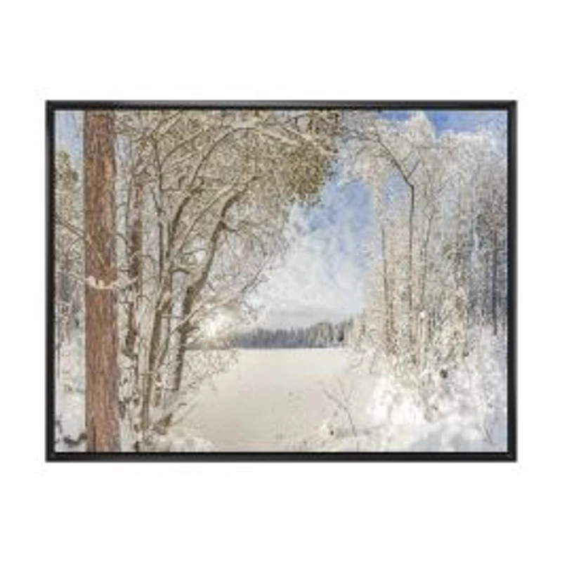 Lake in Winter Woods Wall Art