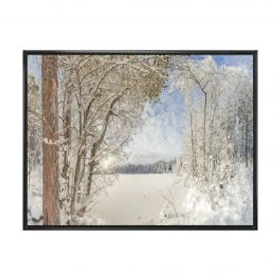 Lake in Winter Woods Wall Art