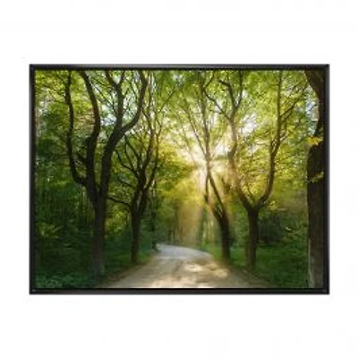 Evening in Green Forest Canvas Art Print