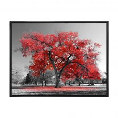 Big Red Tree on Foggy Day Canvas Art Print