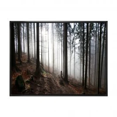 Misty Forest Morning Panorama Wall Art