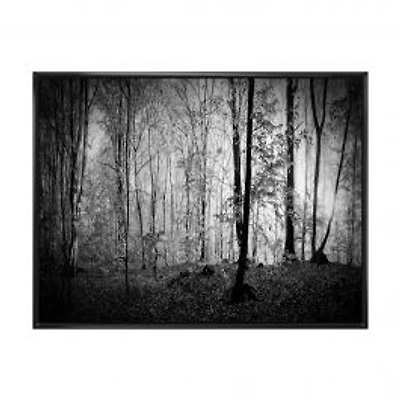 Beautiful Forest Morning Panorama Canvas Art Print