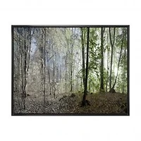 Morning in Forest Panorama Canvas Art Print