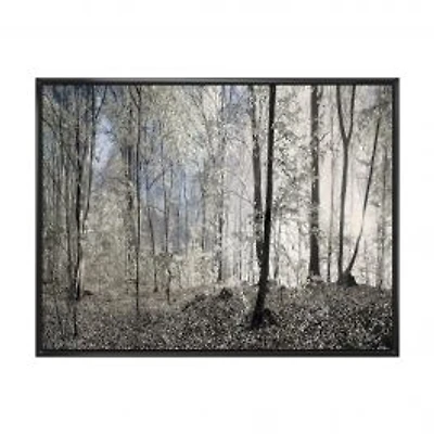 Dark Morning in Forest Panorama Canvas Wall Art Print