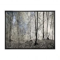 Dark Morning in Forest Panorama Canvas Wall Art Print