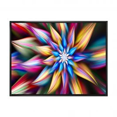 Exotic Multi Color Flower Petals Wall Art