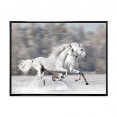 Two White Horse Wall Art Canvas