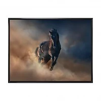 Black Stallion Horse Canvas