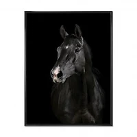Black Horse in darkness Canvas