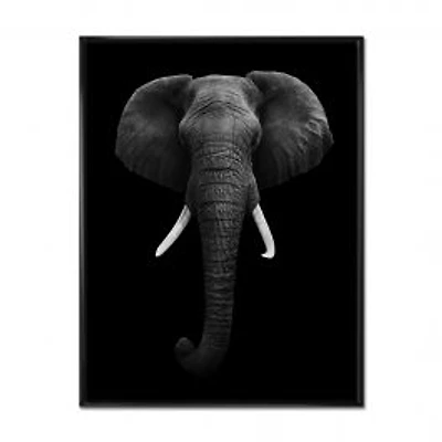 African Elephant Wall Art