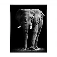 African Elephant in Black Background Wall Art