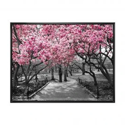 Cherry Blossoms Canvas Wall Art