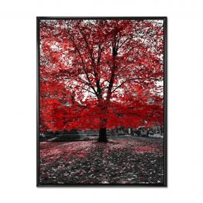 Red Tree in Central Park Wall Art