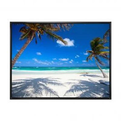Coconut Palms at Beach Wall Art