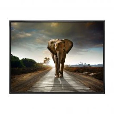 Single Walking Elephant Canvas Art Print
