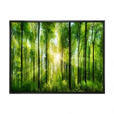 Forest with Rays of Sun Panorama Wall Art