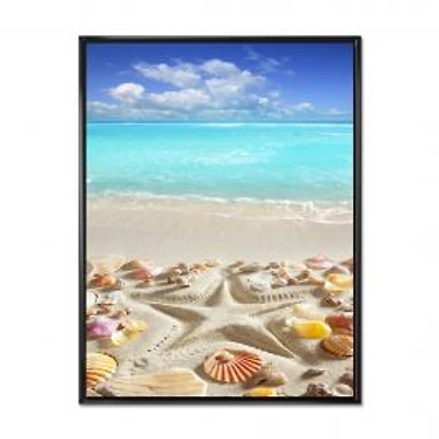Caribbean Sea Starfish Canvas Wall Art Print