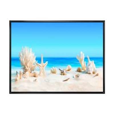 Seashells on Tropical Wall Art
