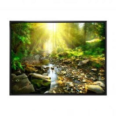 Mountain Stream in Forest Wall Art