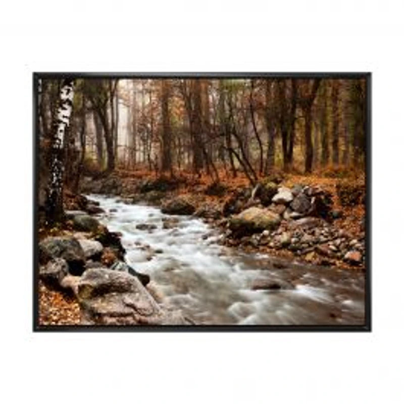 Stream in Autumn Forest Canvas Print