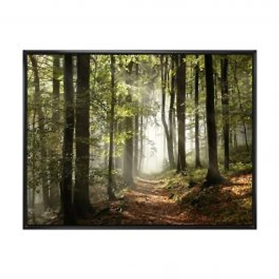 Green Fall Forest with Sun Rays Canvas Print
