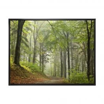 Green Beach Forest Pathway Wall Art