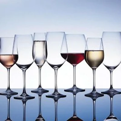 Schott Zwiesel Forte Red Wine Glass