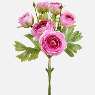 Ranunculus Bundle - Cherry, 13"