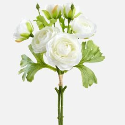 Ranunculus Bundle - Cream, 13"