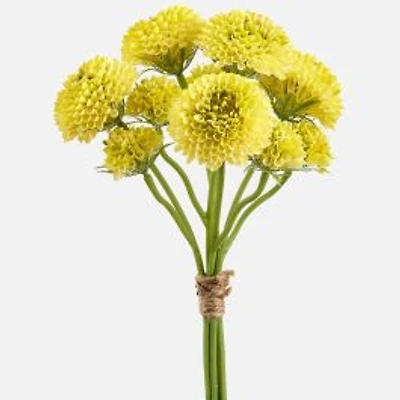 Pompon Dahlia Bouquet - Yellow