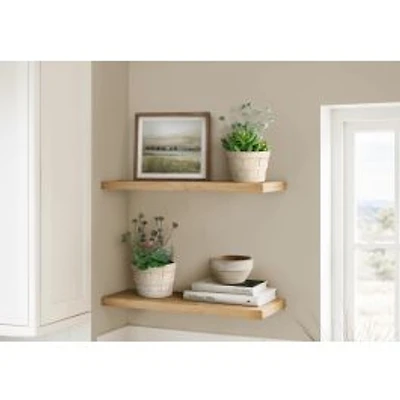 Plantes artificielles, ensemble de 2 - Pots en Ciment