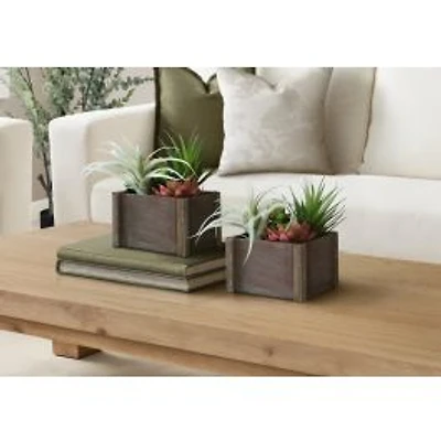 Plantes artificielles, ensemble de 2 - Pots en Bois