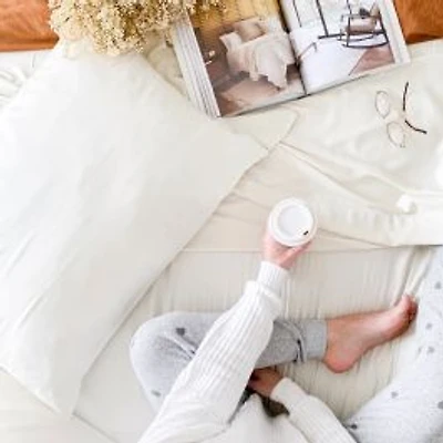 Bamboo Rayon Set of 2 Pillowcases