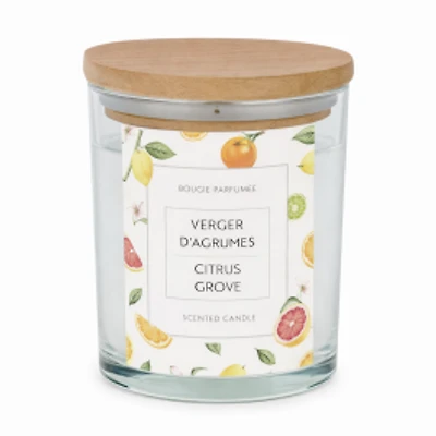 Glass Candle - Citrus Orchard